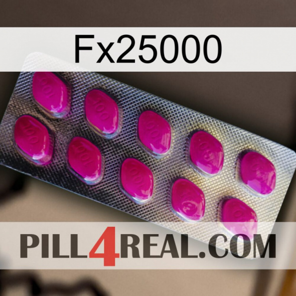 Fx25000 09